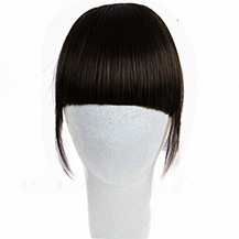 Neat Bang With Human Hair On The Temples Natural Black 1 Piece